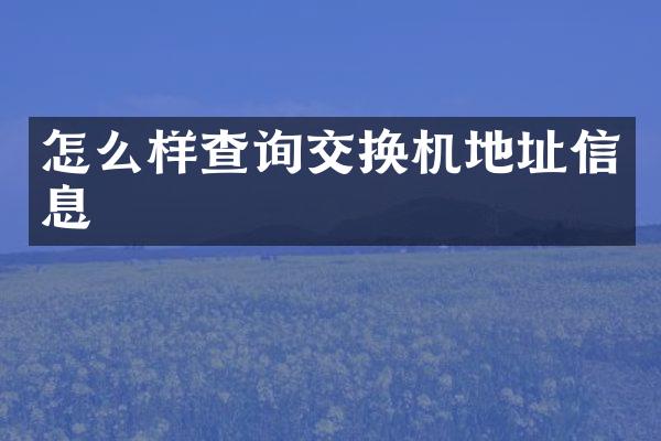 怎么样查询交换机地址信息