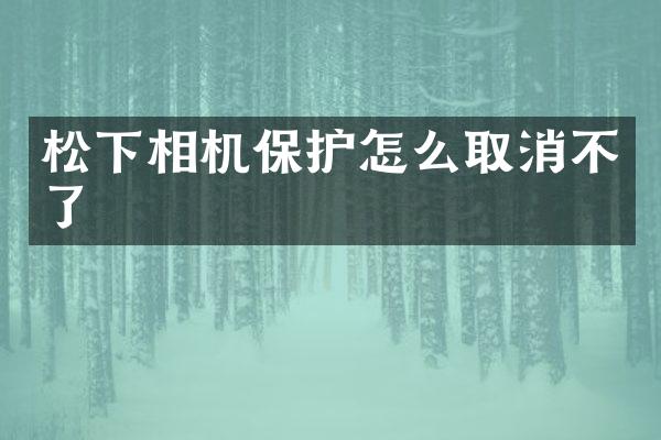 相机保护怎么取消不了
