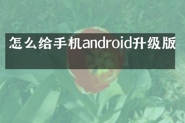 怎么给手机android升级版本