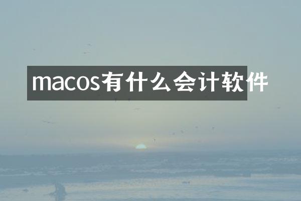 macos有什么会计软件