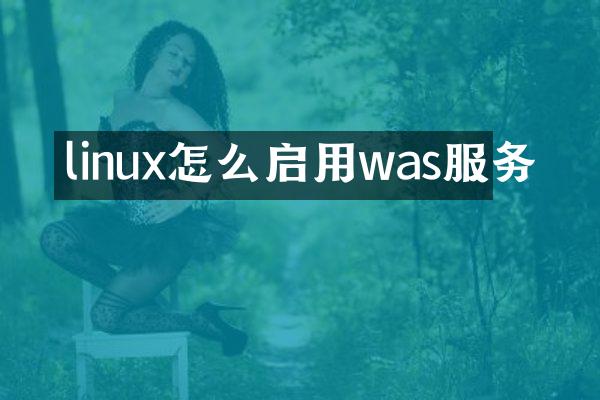 linux怎么启用was服务
