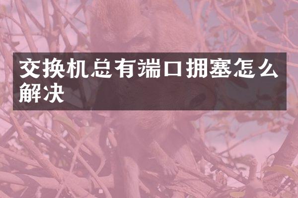 交换机总有端口拥塞怎么解决
