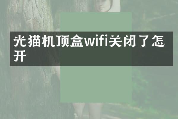 光猫机顶盒wifi关闭了怎么开