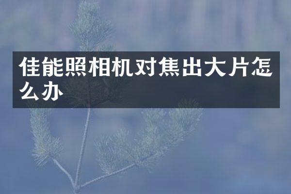 佳能照相机对焦出大片怎么办