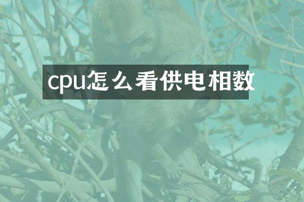 cpu怎么看供电相数