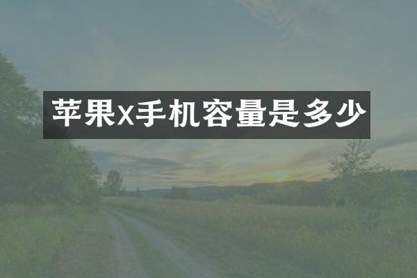 苹果x手机容量是多少