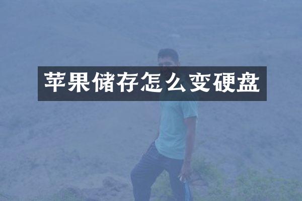 苹果储存怎么变硬盘