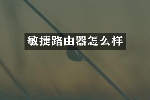 敏捷路由器怎么样