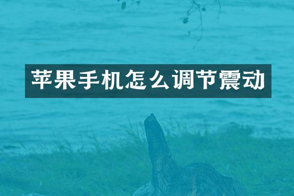 苹果手机怎么调节震动