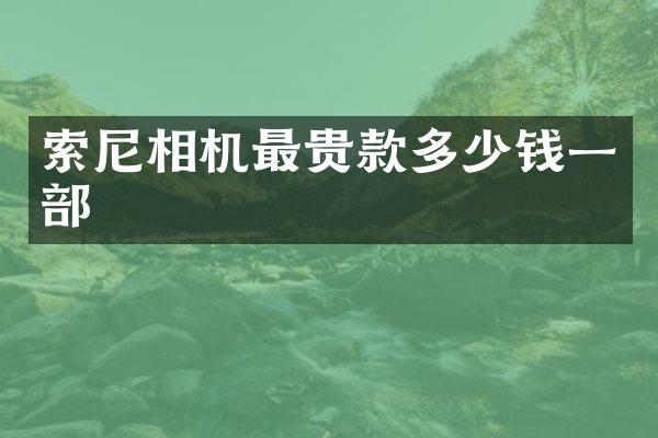 相机最贵款多少钱一部