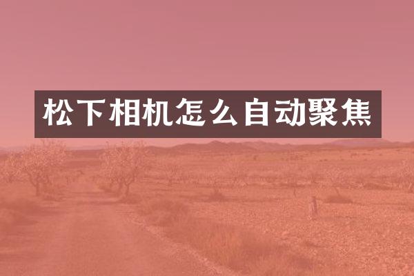 相机怎么自动聚焦