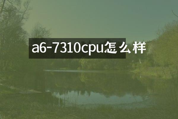 a6-7310cpu怎么样