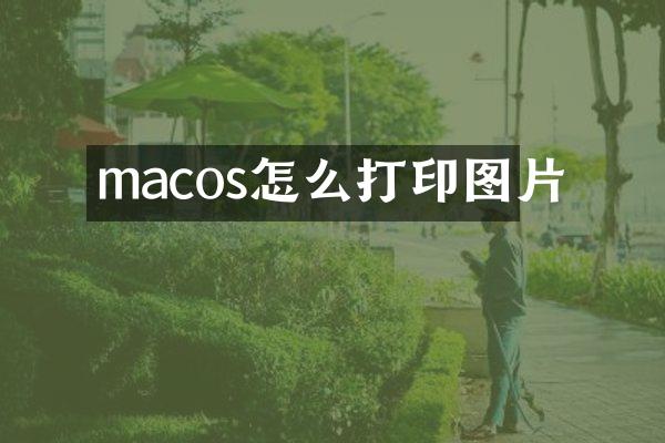 macos怎么打印图片
