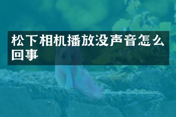相机播放没声音怎么回事