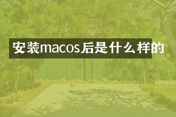安装macos后是什么样的