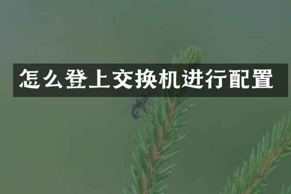 怎么登上交换机进行配置