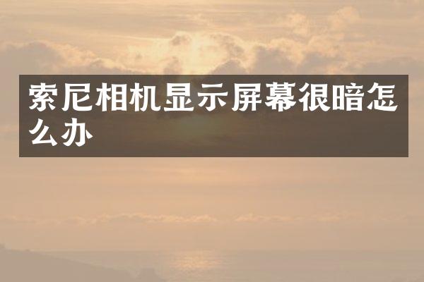 相机显示屏幕很暗怎么办