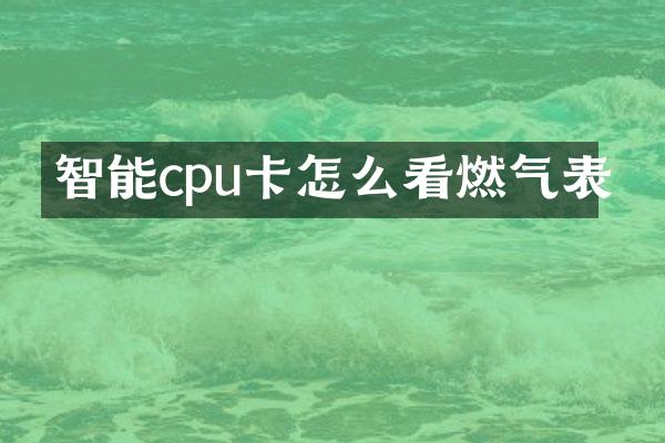 智能cpu卡怎么看燃气表