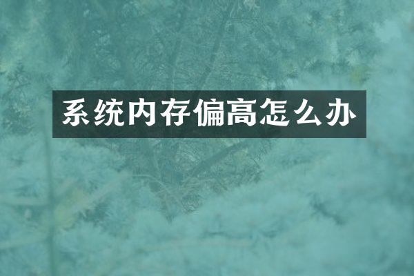 系统内存偏高怎么办