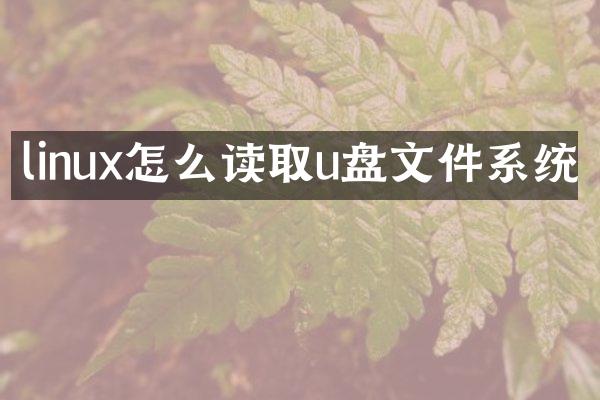 linux怎么读取u盘文件系统