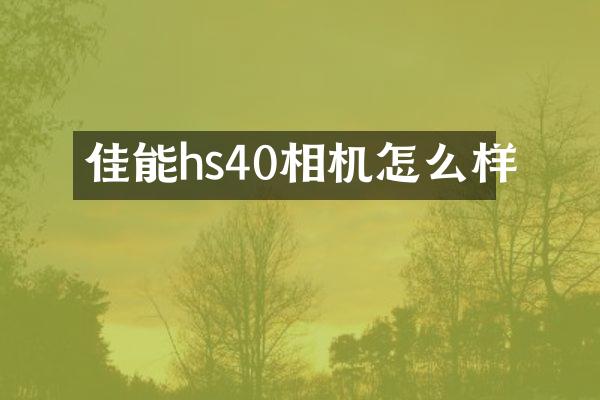 佳能hs40相机怎么样