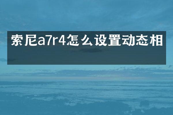 a7r4怎么设置动态相机