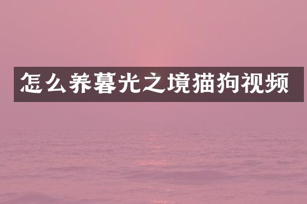 怎么养暮光之境猫狗视频