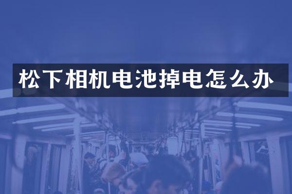 相机电池掉电怎么办