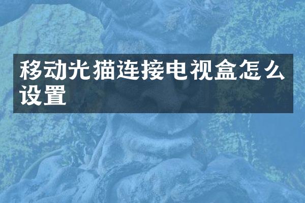 移动光猫连接电视盒怎么设置