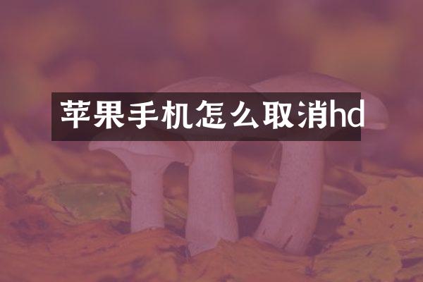 苹果手机怎么取消hd