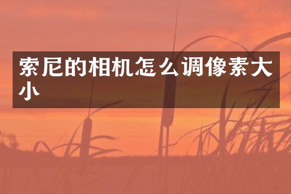 的相机怎么调像素大小