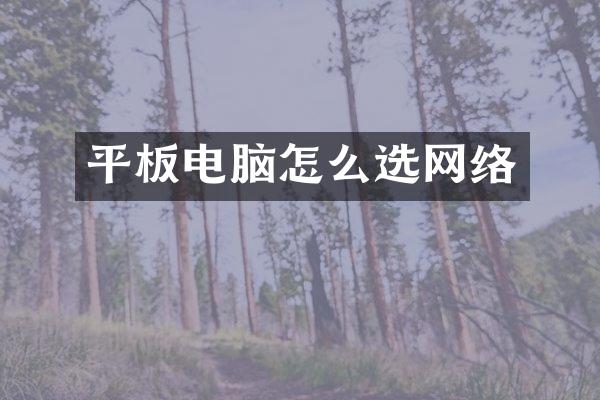 平板电脑怎么选网络