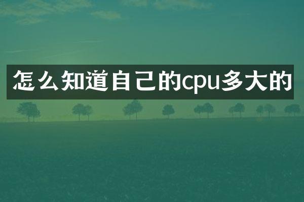 怎么知道自己的cpu多大的