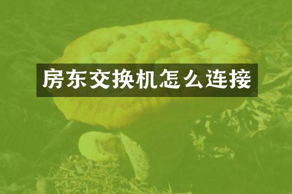 房东交换机怎么连接