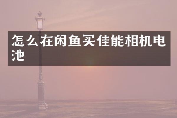 怎么在闲鱼买佳能相机电池