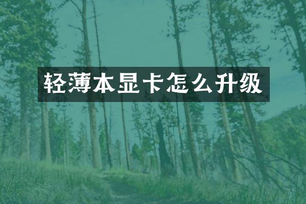 轻薄本显卡怎么升级