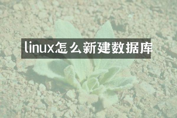 linux怎么新建数据库