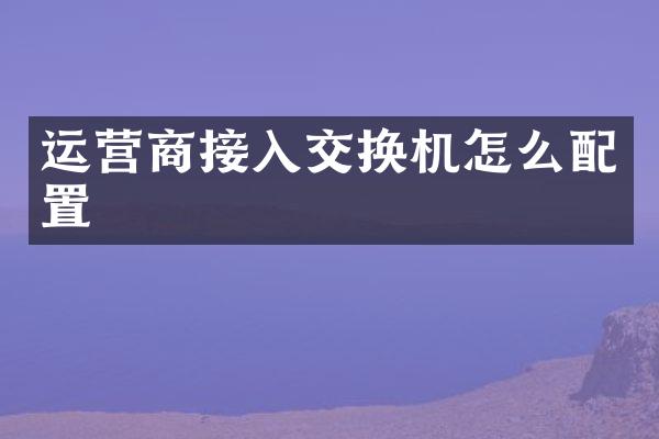 运营商接入交换机怎么配置