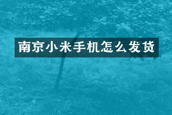 南京小米手机怎么发货
