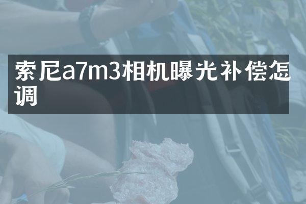 a7m3相机曝光补偿怎么调