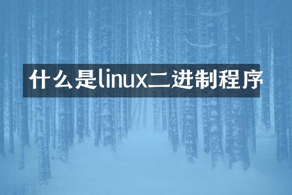 什么是linux二进制程序