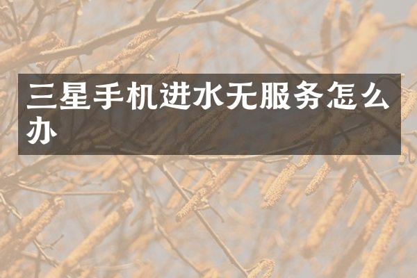 三星手机进水无服务怎么办