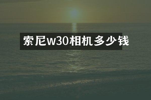 w30相机多少钱