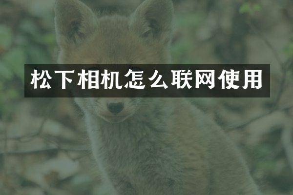 相机怎么联网使用