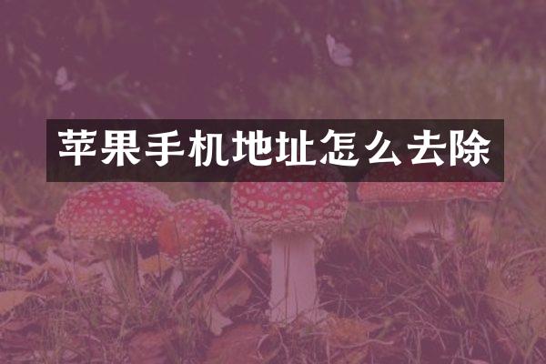 苹果手机地址怎么去除