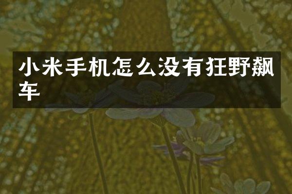 小米手机怎么没有狂野飙车