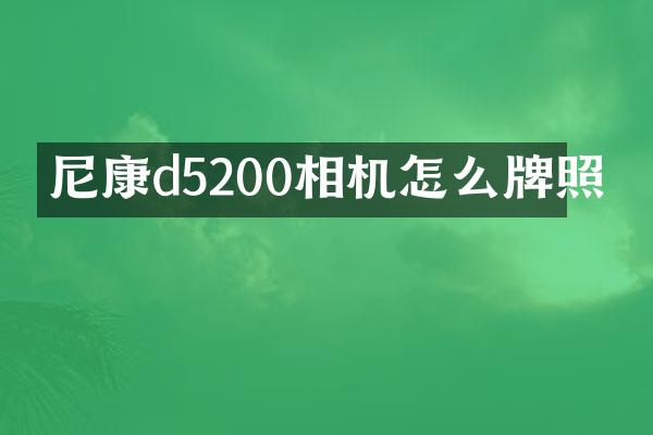 尼康d5200相机怎么牌照