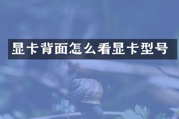 显卡背面怎么看显卡型号