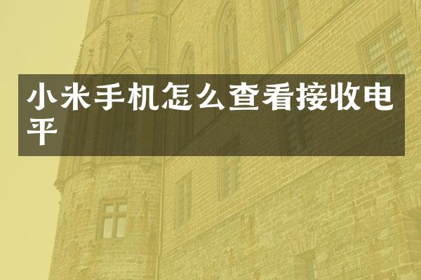 小米手机怎么查看接收电平