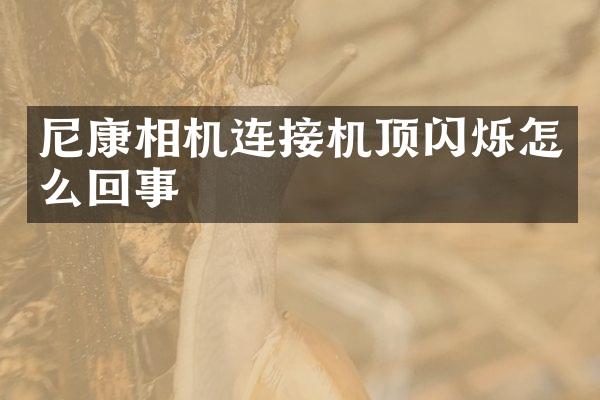 尼康相机连接机顶闪烁怎么回事